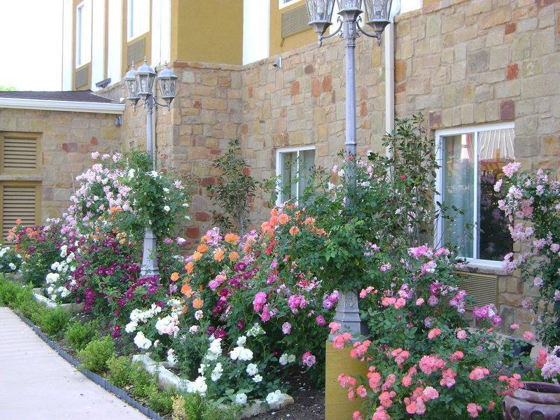 Blanco River Hotel Экстерьер фото